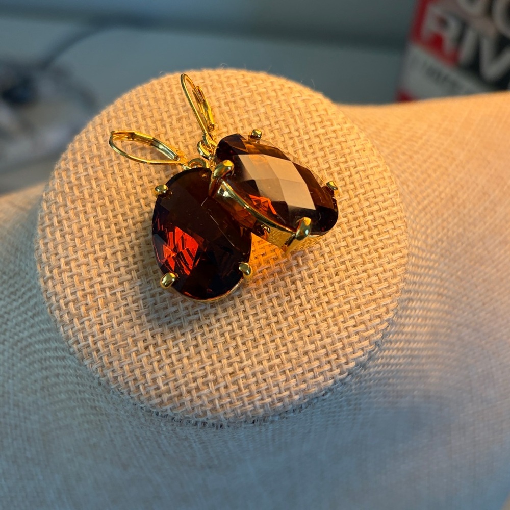 Joan Rivers Classics Collection 
Gold and Brown Earrings
Lever-back